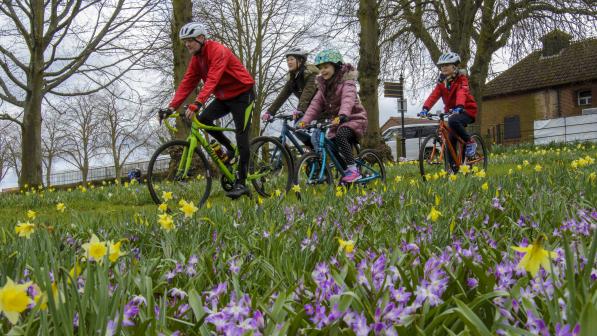 A family of four (mum, dad, boy and girl) are cycling through a meadow filled with crocuses and daffodils