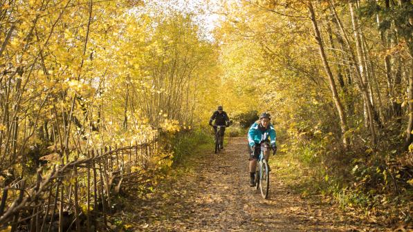 Two people are cycling along a leaf-strewn, muddy track through a tunnel of yellow-leafed trees