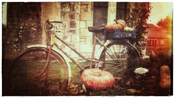 Picture of a bike with pumpkins on it