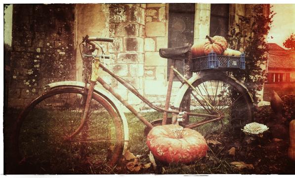 Picture of a bike with pumpkins on it