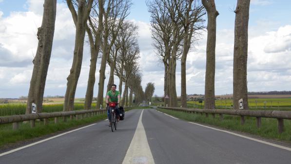Cyclist riding along a wooded avenue close to the Avenue Verte