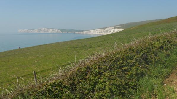 View along the coast towards Freshwater Bay