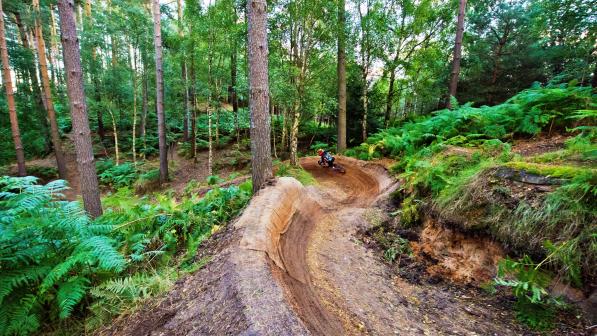 Woburn top bike trails