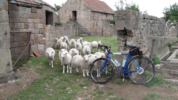 Some friendly locals comes to say hello