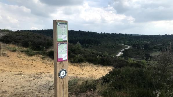 Surrey Hills route