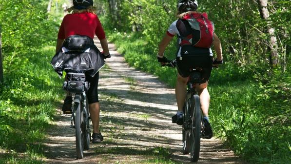 Cycling in The New Forest 