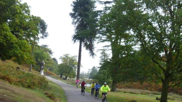 October Cyclists