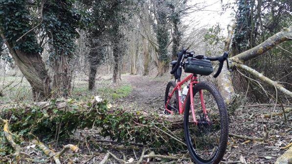 Gravel bike 2020 test deals