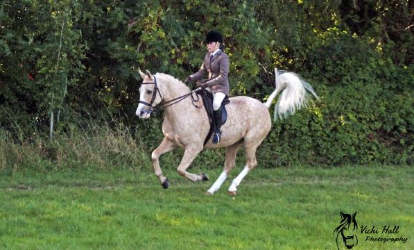 A horse rider on a palomino horse riding in a large field 