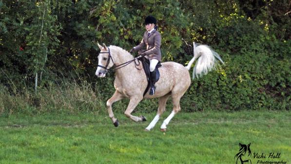 A horse rider on a palomino horse riding in a large field 