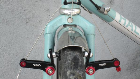 Avid bicycle 2024
