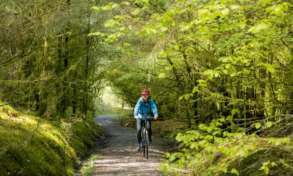 Woman cycling along path through sunlit woodland