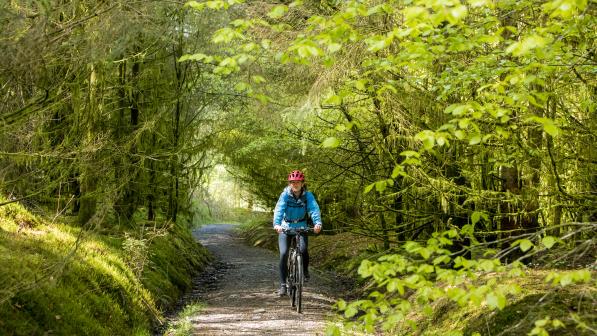 Woman cycling along path through sunlit woodland