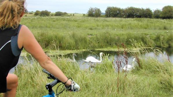 Pevensey Levels