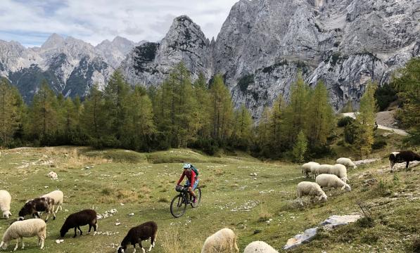 A cyclist rides in an alpine setting