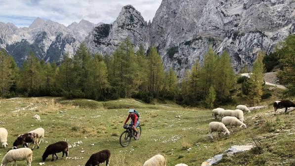 A cyclist rides in an alpine setting