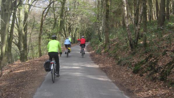 People cycling on road through a forest