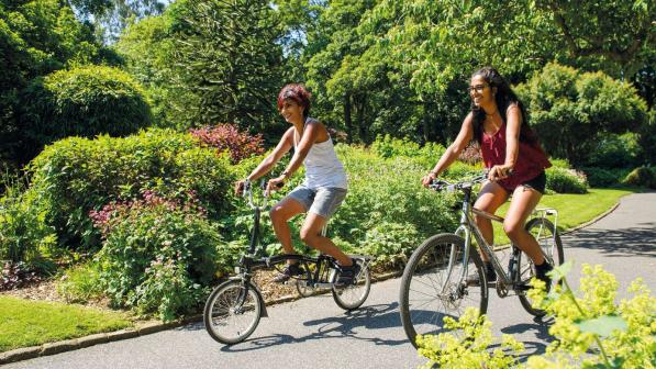 Two people cycle side by side through a park on a sunny day in summer. 