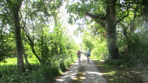 Riders in a lane near Pevensey