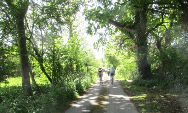 Riders in a lane near Pevensey
