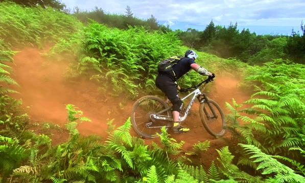 A mountain biker riding through bracken on a dusty dirt trail