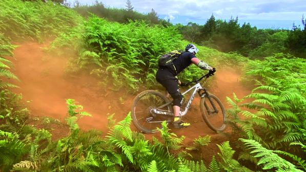 A mountain biker riding through bracken on a dusty dirt trail