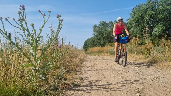 Woman cycling towards the camera on a sandy gravel track in the sunshine