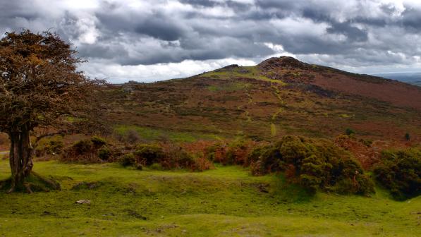 An autumnal moorland scene of a bracken-covered hill on Dartmoor