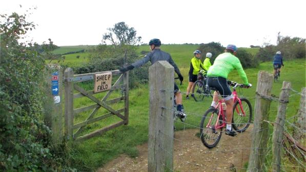 Friston forest outlet mtb