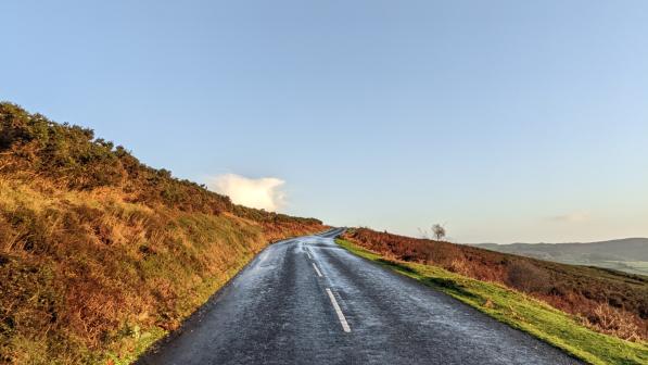 Autumn bracken shades on the Trendlebere climb, Dartmoor. 