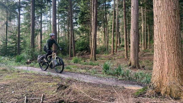 A man is riding a loaded flat-bar touring bike on a gravel track through a forest