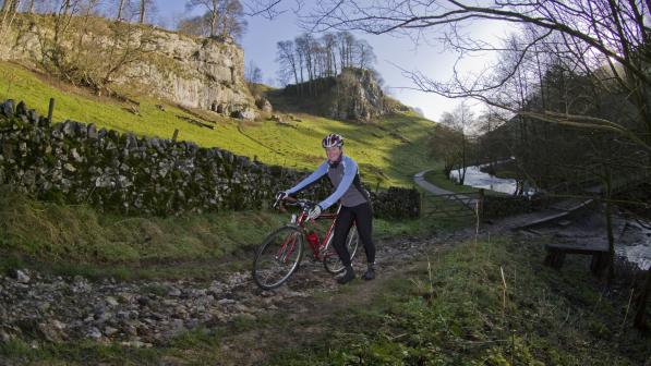 Going for a walk with your bike