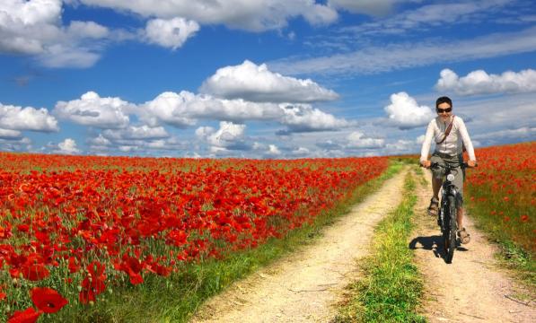 Cycling next to a field of poppies (Shutterstock)