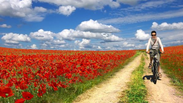 Cycling next to a field of poppies (Shutterstock)